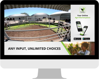 L Banner Ads